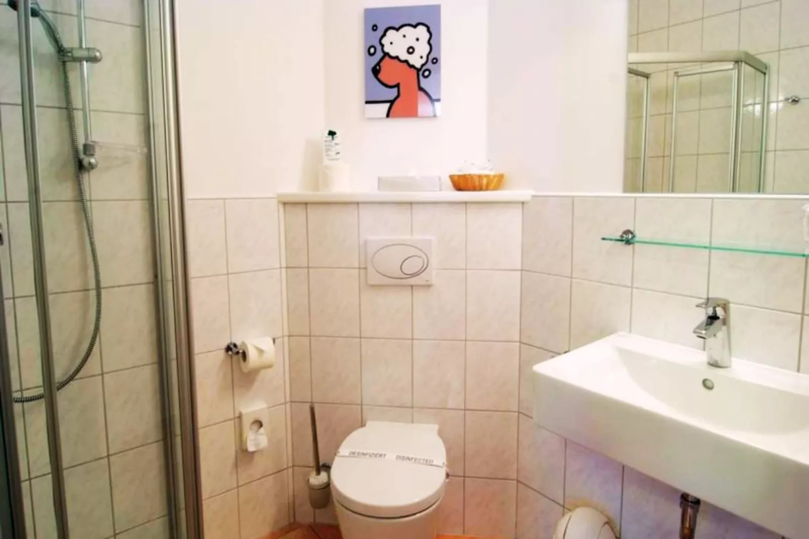 Standard Double Room-Badkamer