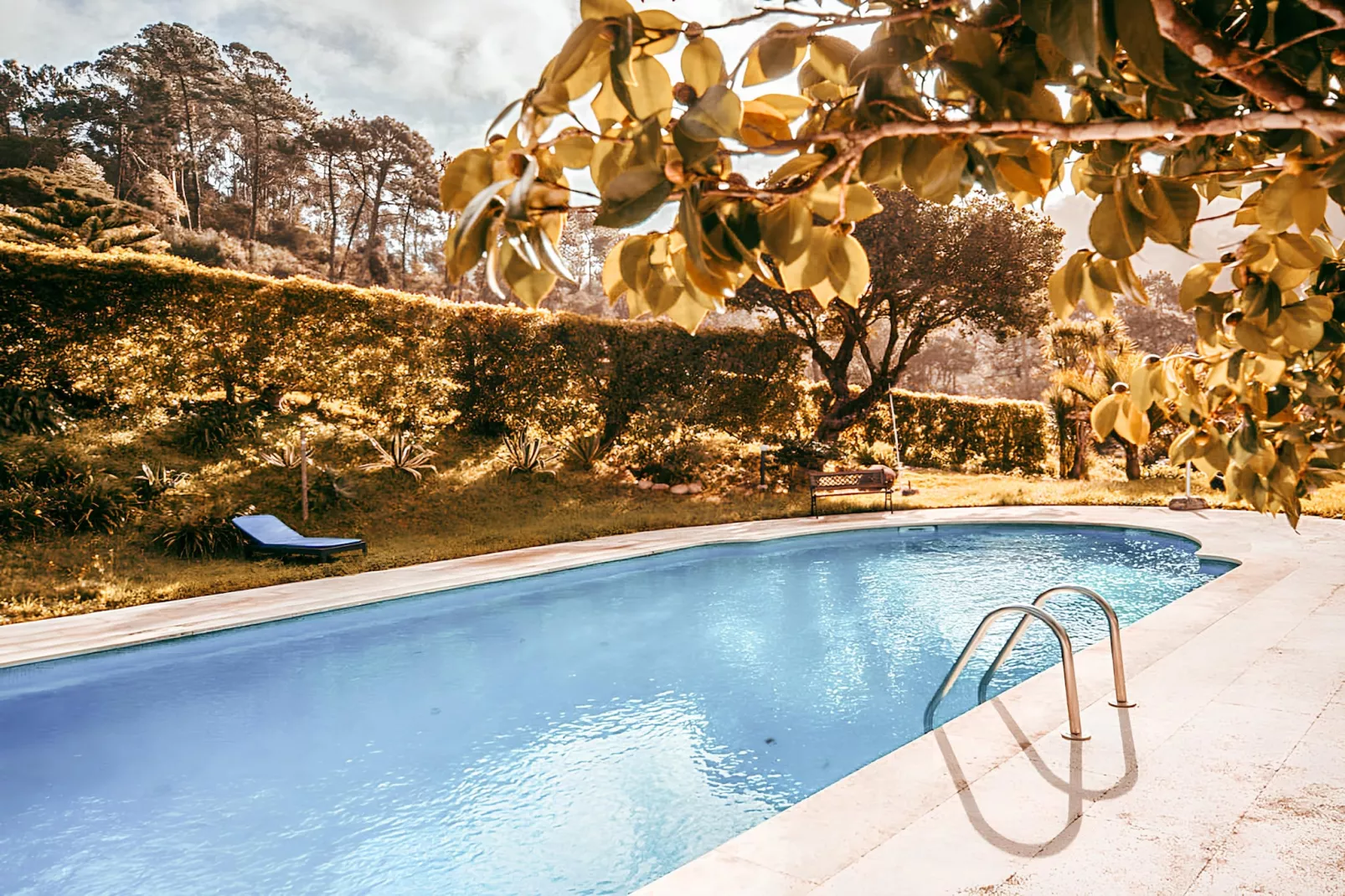 Oliveira's Houses By Gthouse