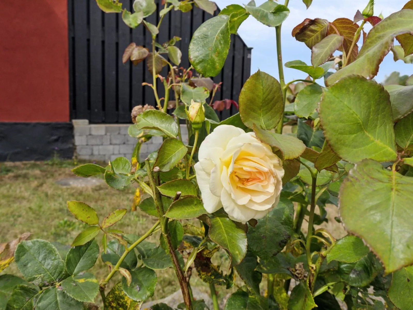 "Ruse" - 6km from the sea