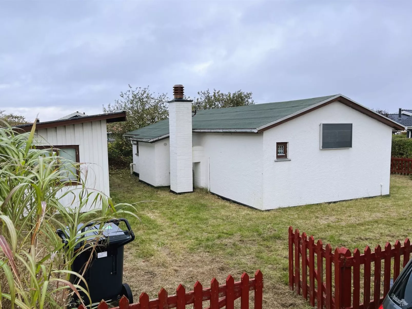 "Ginger" - 50m from the sea