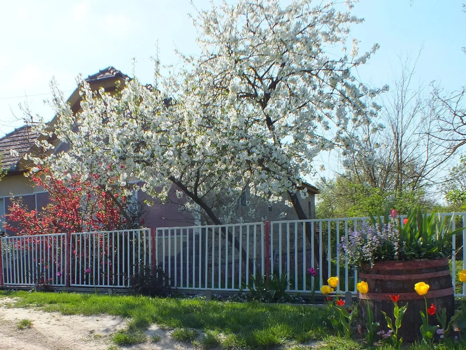 In Döbrököz mit privatem Pool