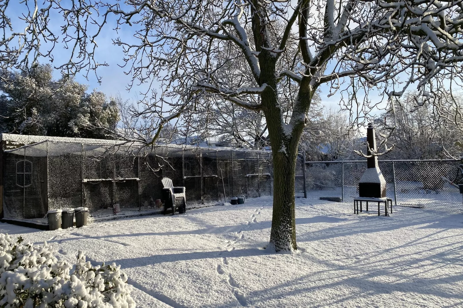 De Herberg - Tuin winter