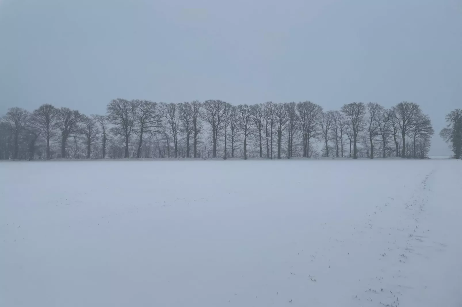 Erve Baak-Gebied winter 1km