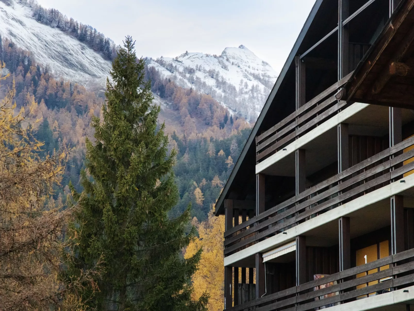 Centaure B RI 1-Buiten