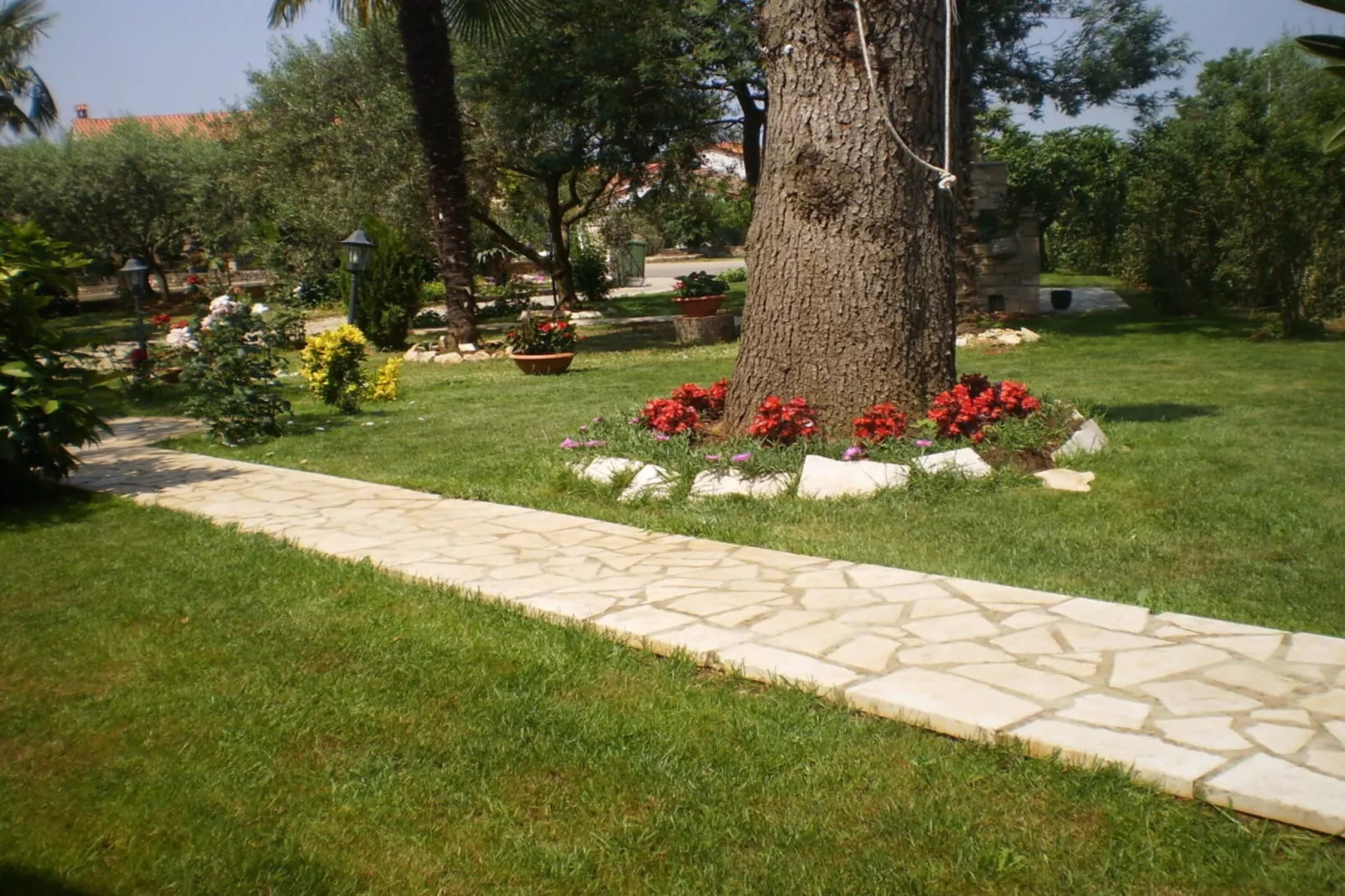 Licul Modern retreat