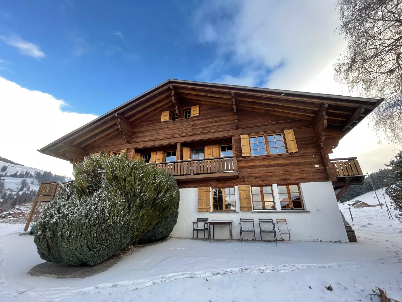 Hivernants Le Premier