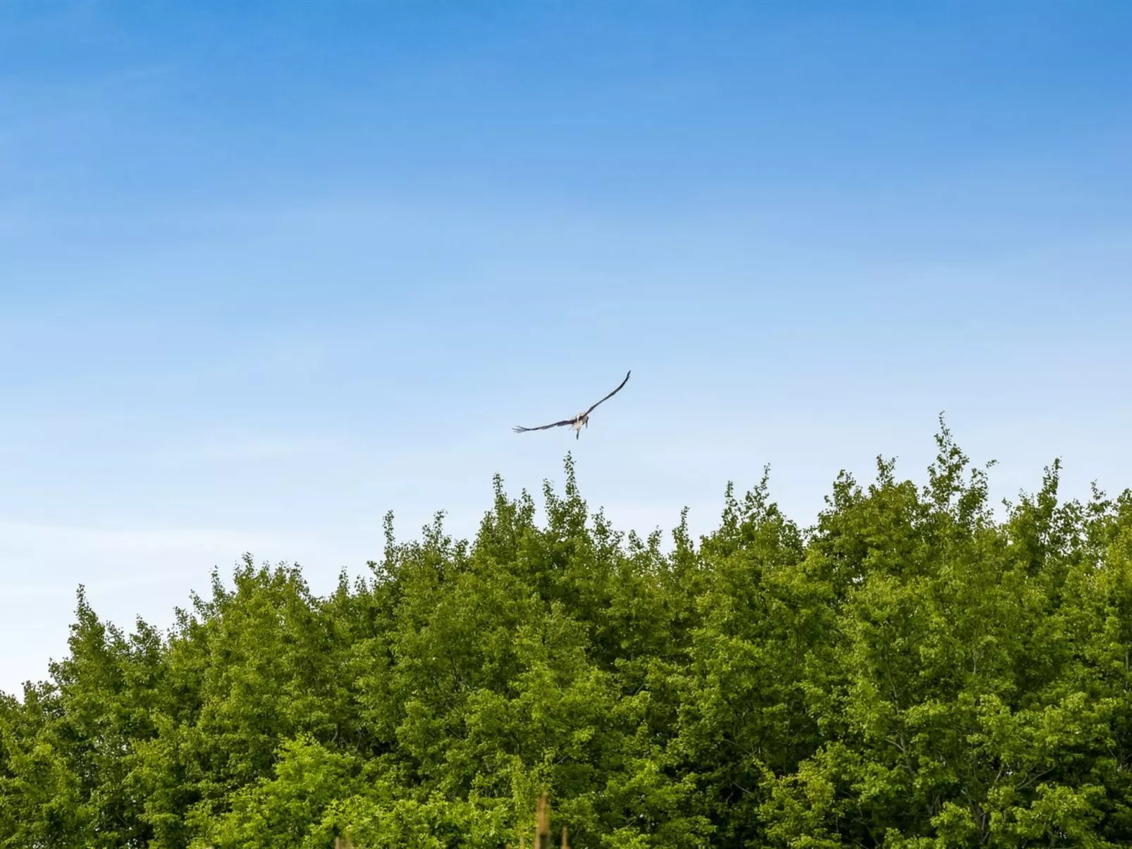 "Truels" - 30km from the sea