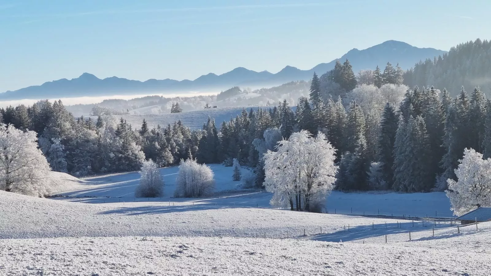 Oachkatzl-Gebied winter 1km