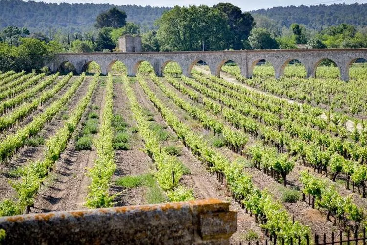 Résidence du Château de Jouarres - Azille // Studio 2 pers-Gebieden zomer 5km