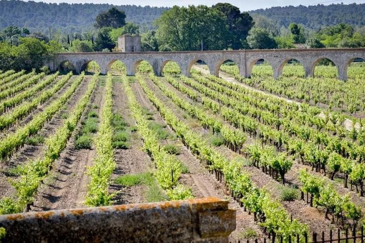 Résidence du Château de Jouarres - Azille // Apt 3 P 6 pers-Gebieden zomer 5km