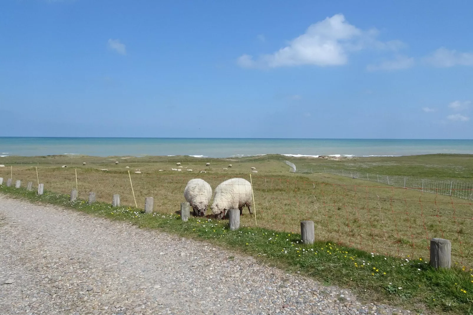 Holiday flat in Arromanches-les-Bains-Gebieden zomer 5km