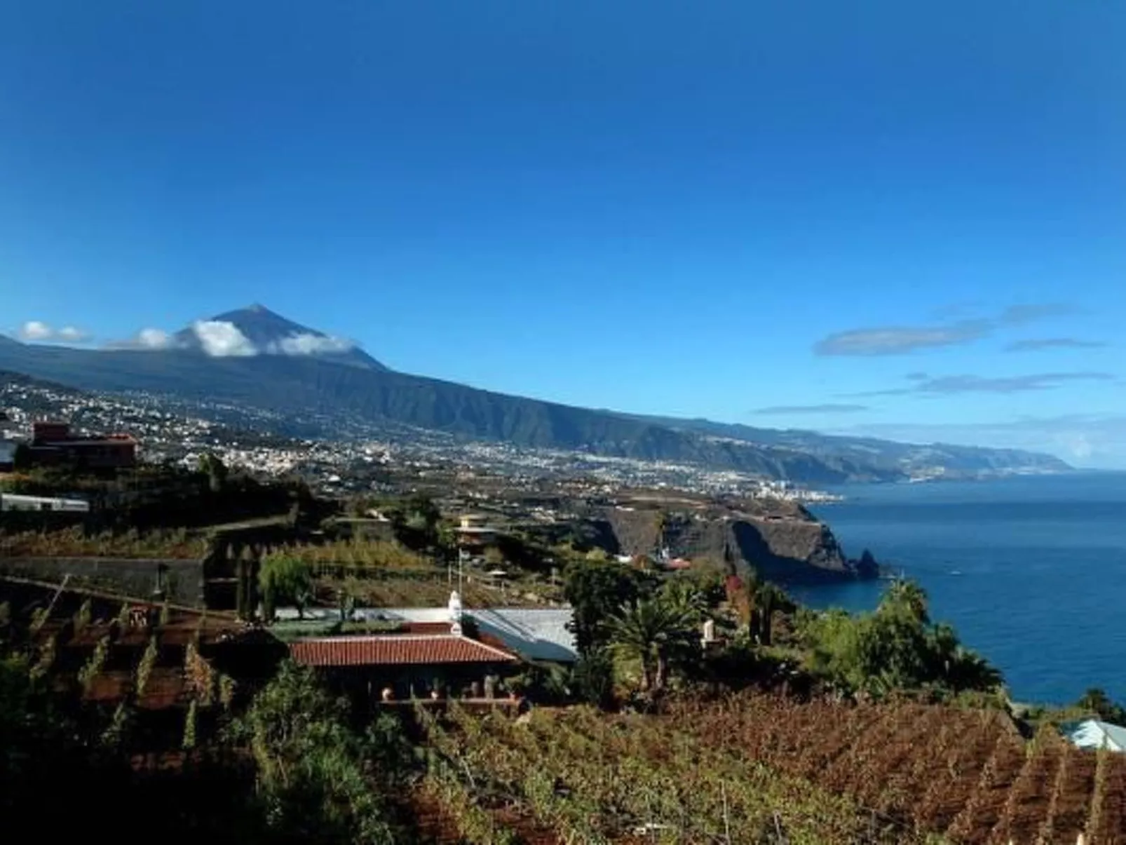 Wohnung in La Matanza De Acentejo mit Terrasse, gemeinsamem Pool und Garten