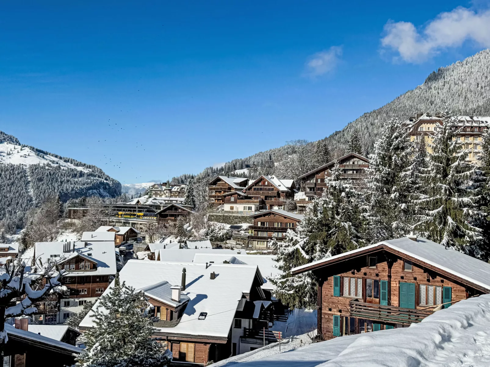 Silberhorn Apt. V - Omgeving