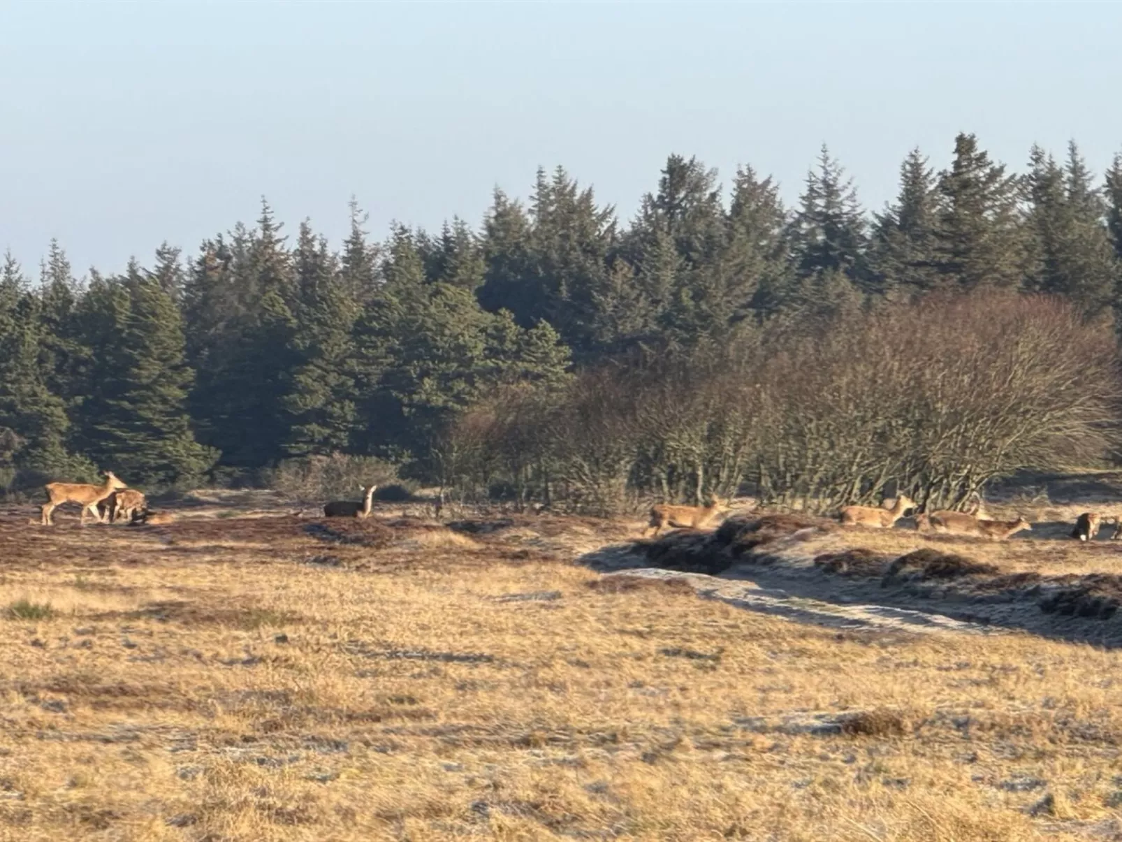 "Thrugils" - 800m from the sea