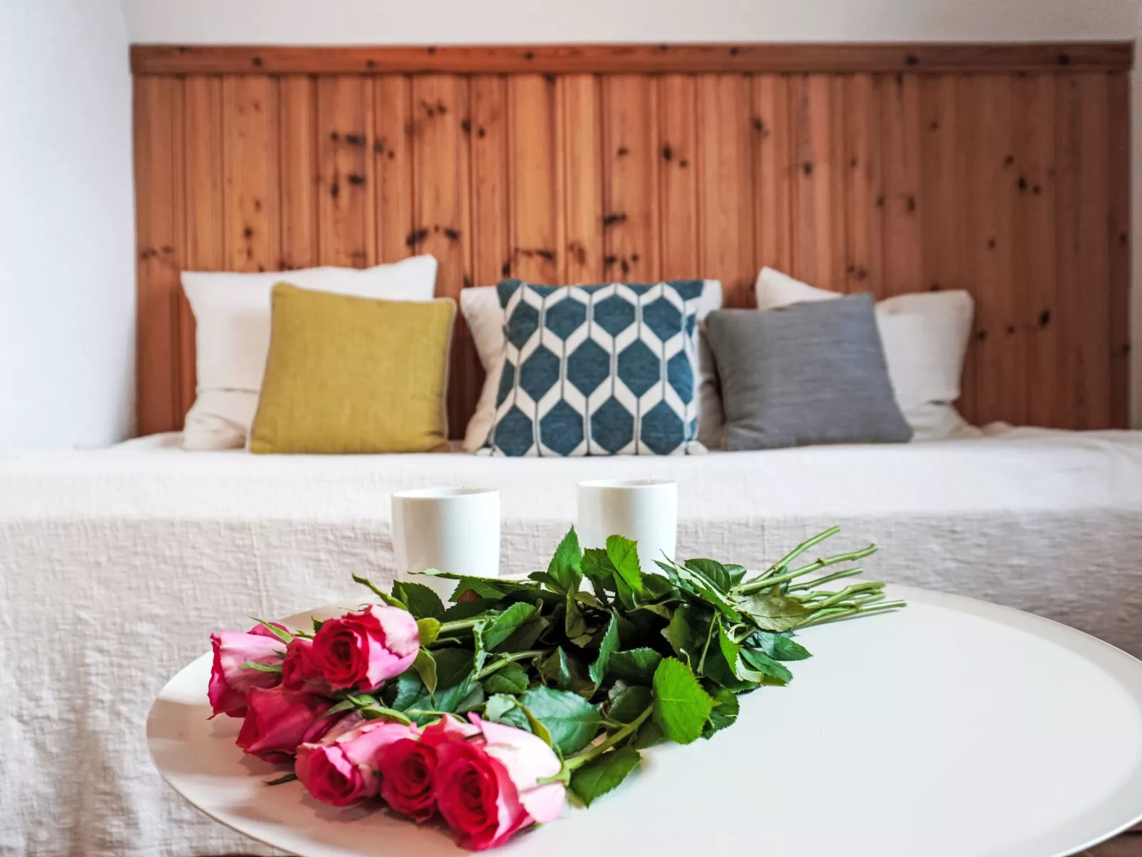 Plan Névé 5 - Binnen