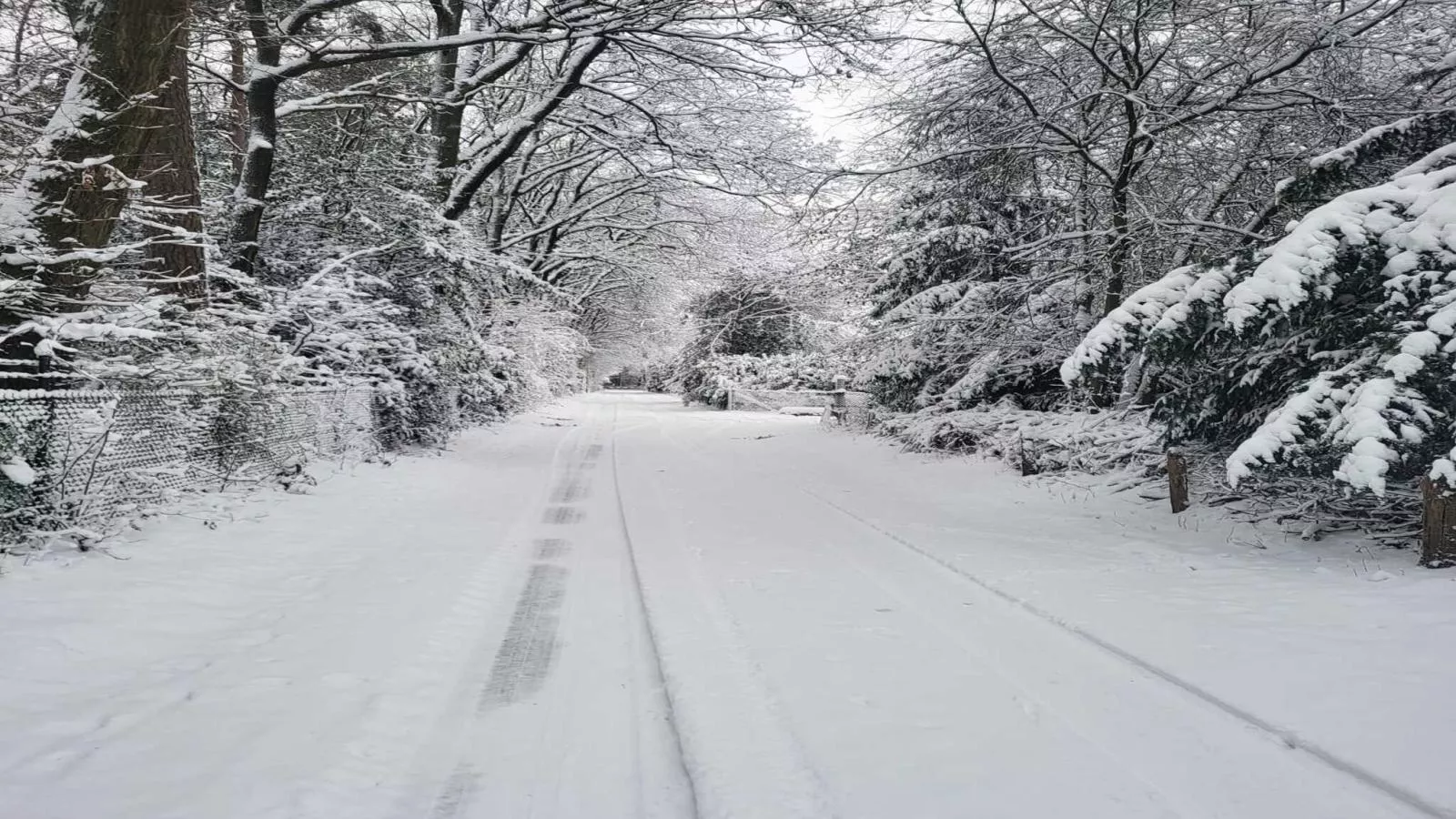 Uilenhof - Gebied winter 1km