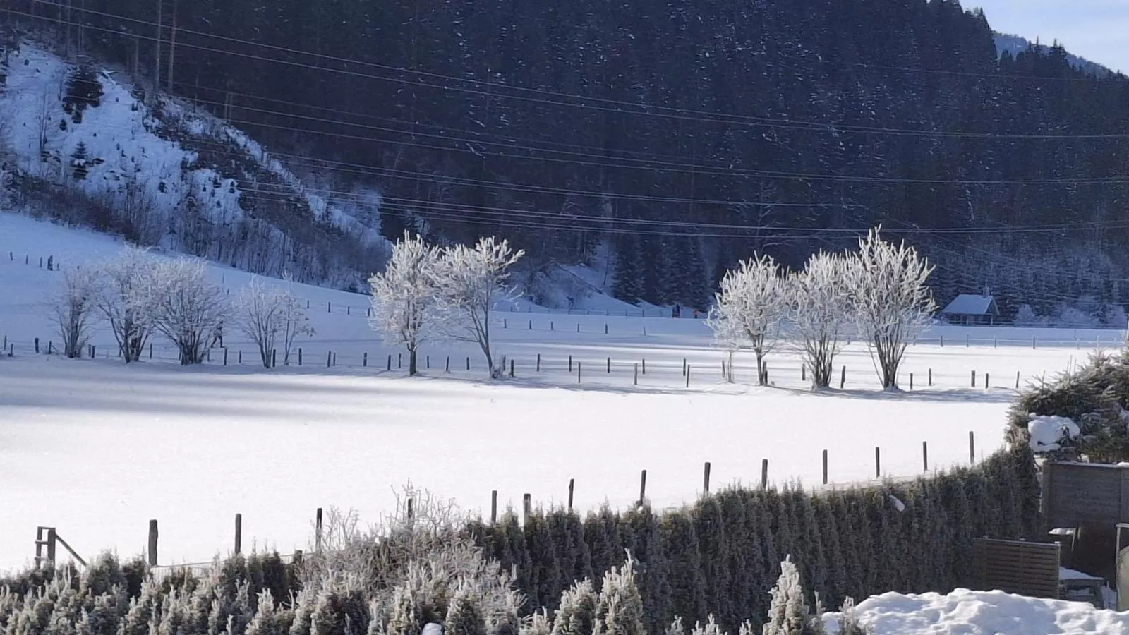 Joss - Gebied winter 1km