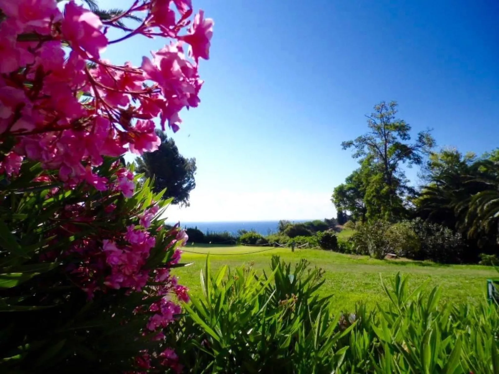 Cap Esterel Prestige