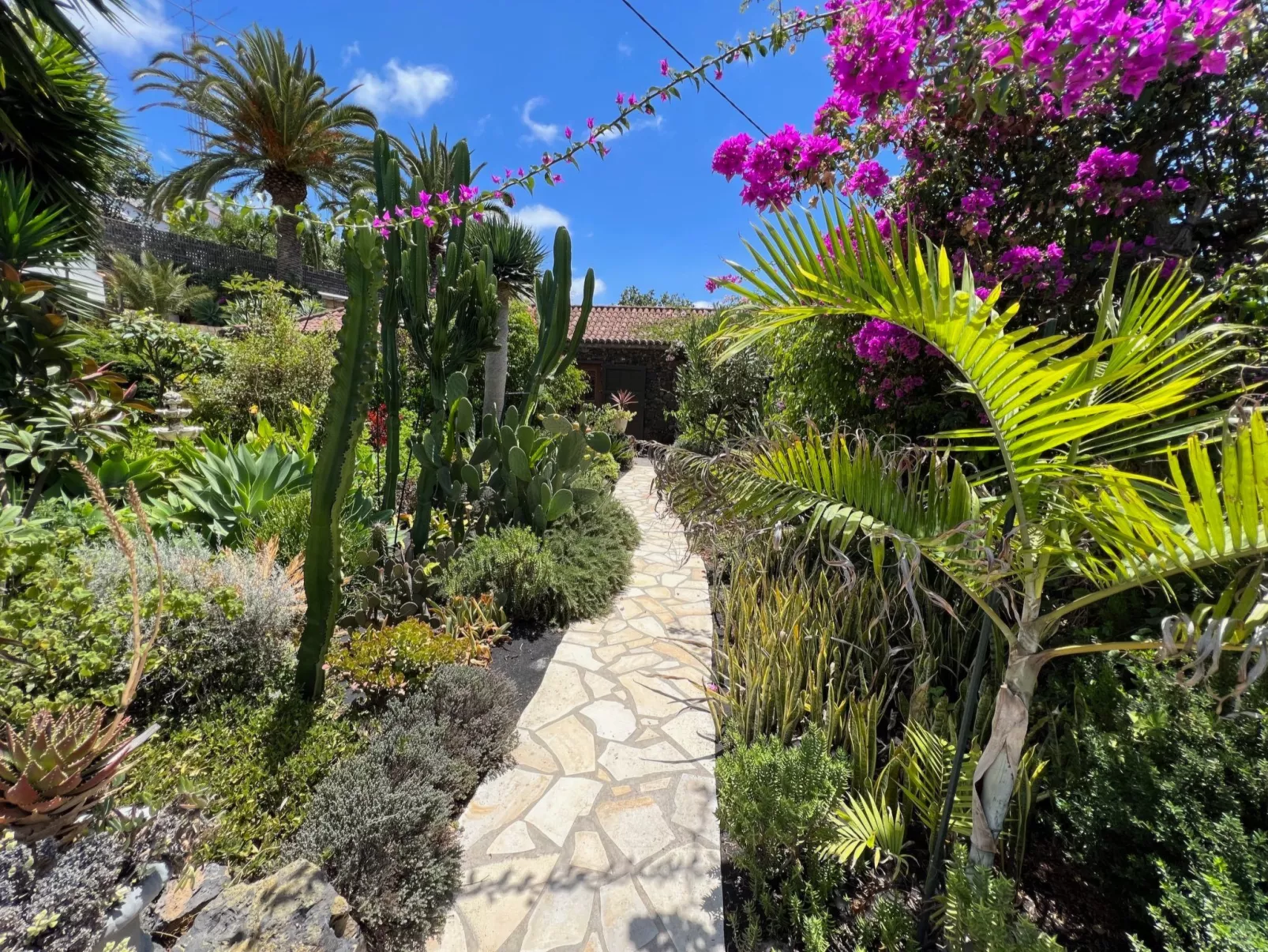 Casa Jardín Tropical