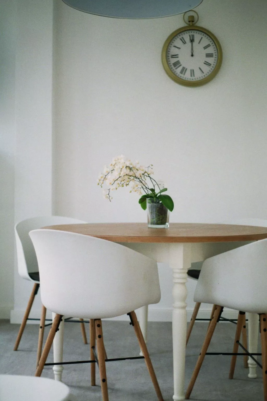 Schöne Moderne Ferienwohnung für 2-4 Personen + Hund in Sankt Andreasberg im Ob