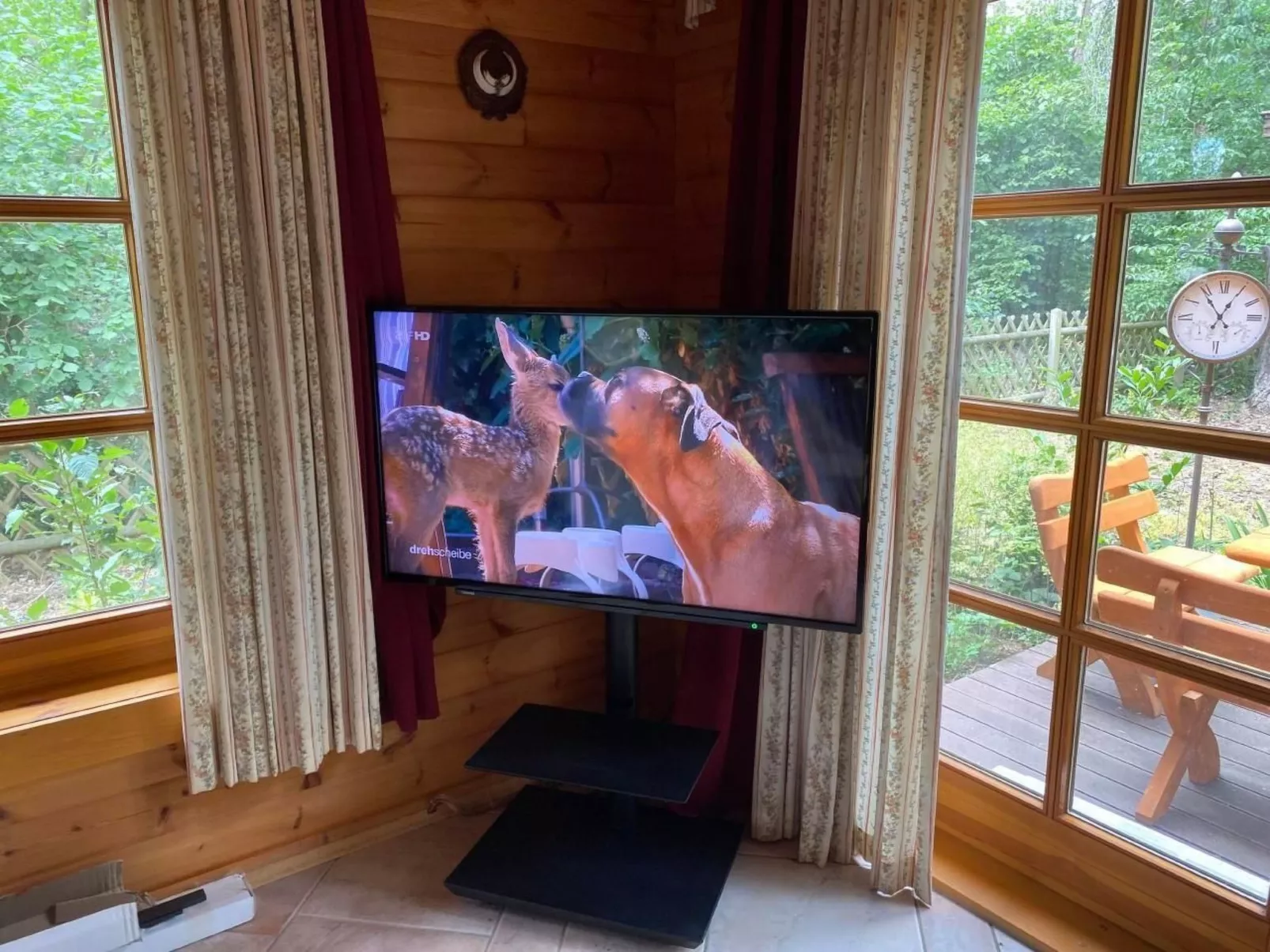 WaldhausEichhörnchen