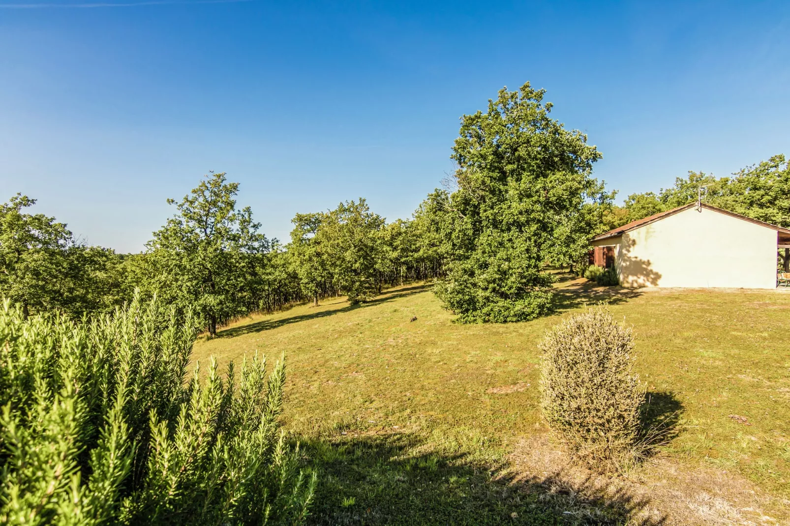 Salignac-Tuinen zomer