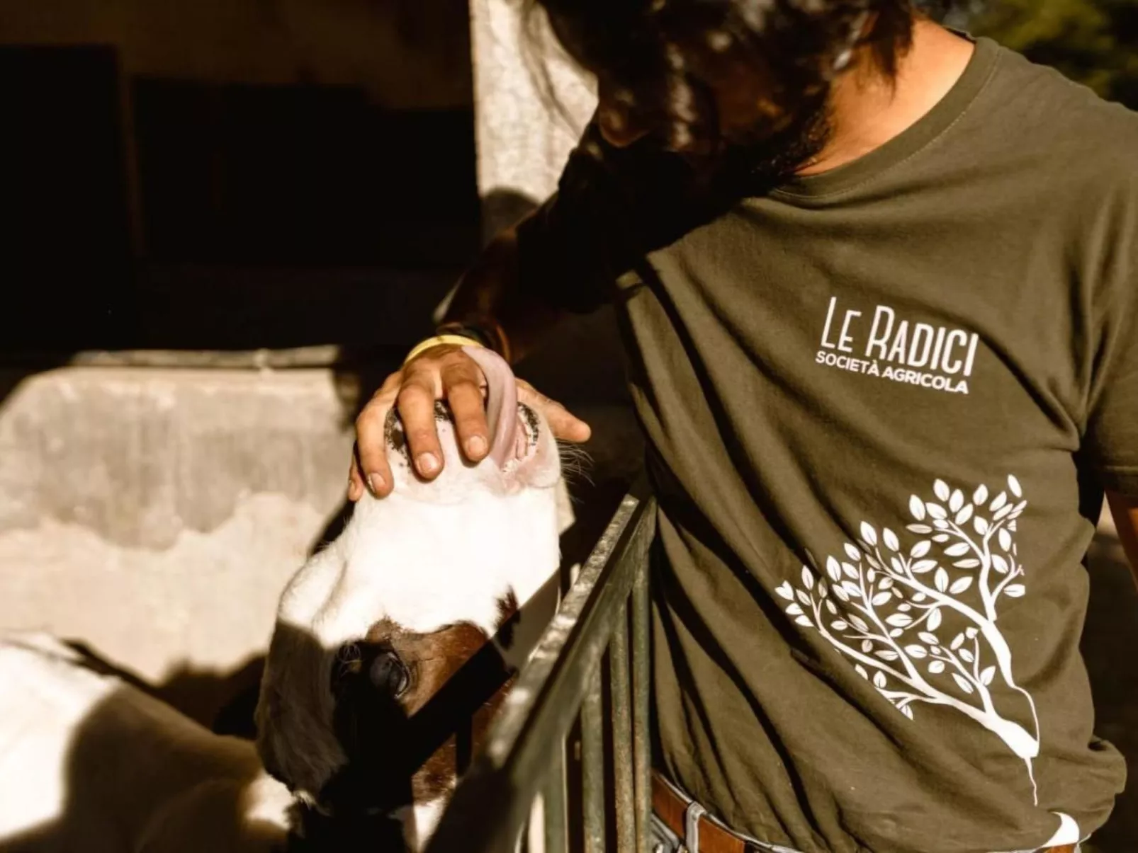 Le Radici - Olivo - Entspannen im Herzen von Umbrien