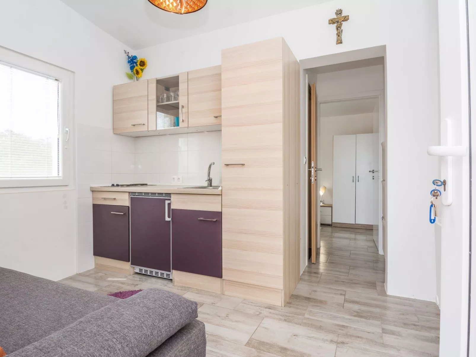 Apartment Ivanusevic 1