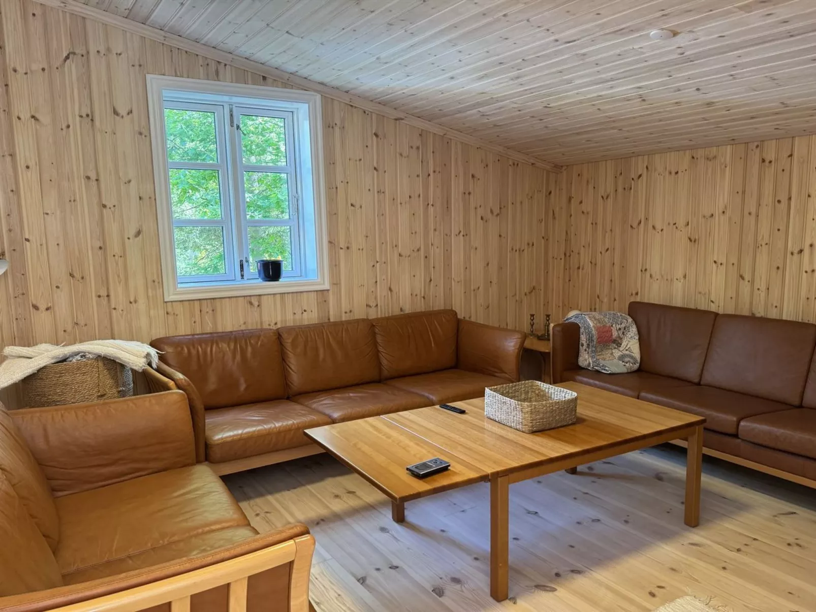 "Felippa" -  from the sea