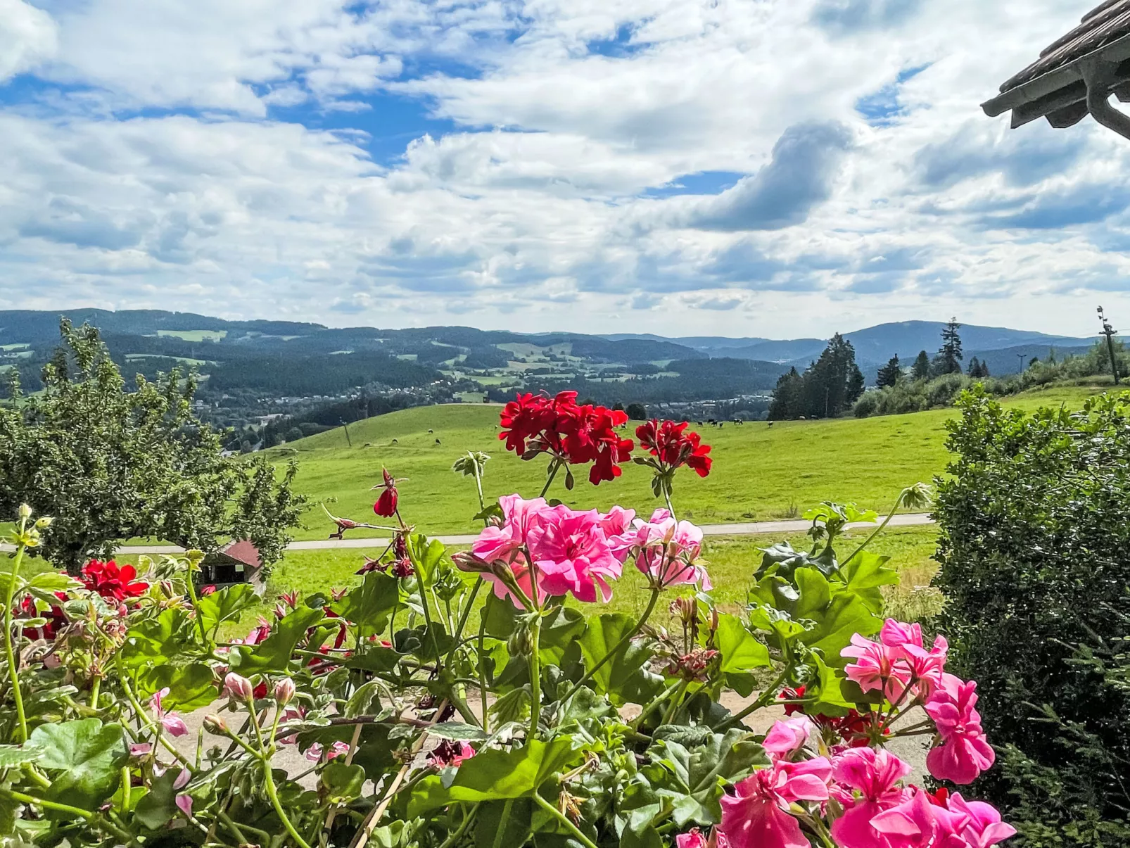 Mühlenmichelshäusle - Buiten
