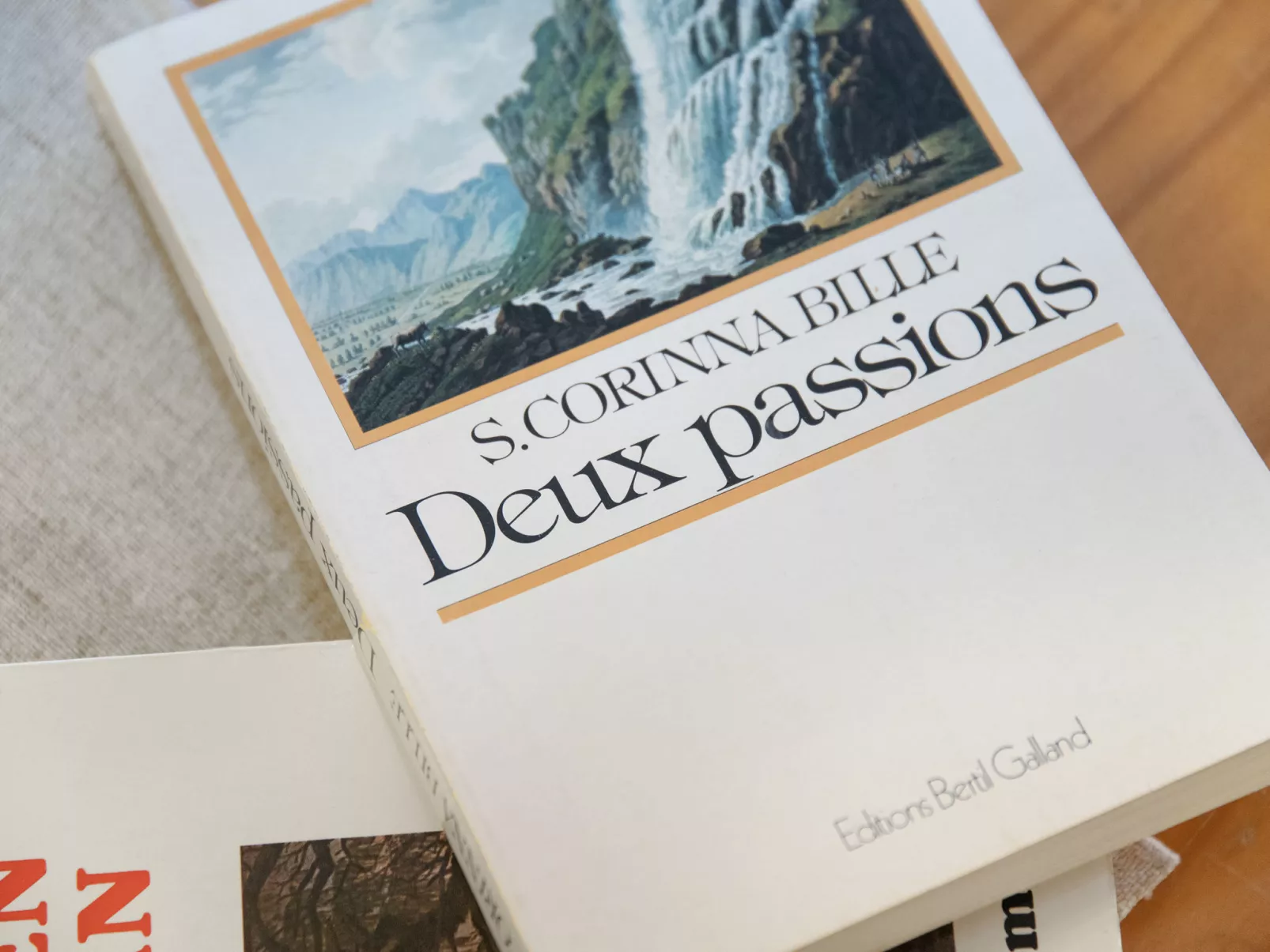 Centaure B RS 2 - Binnen