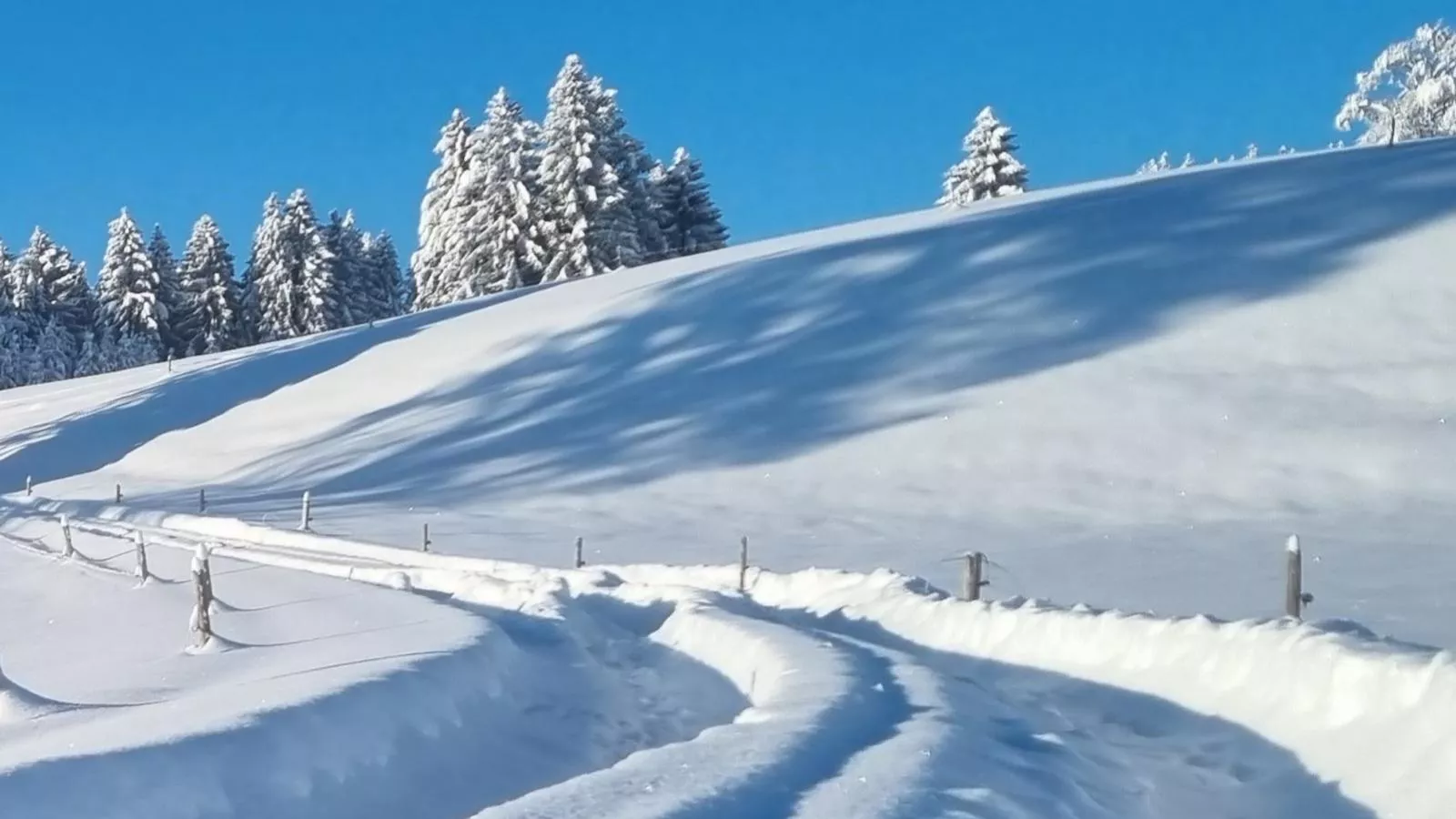 Oachkatzl-Gebied winter 1km