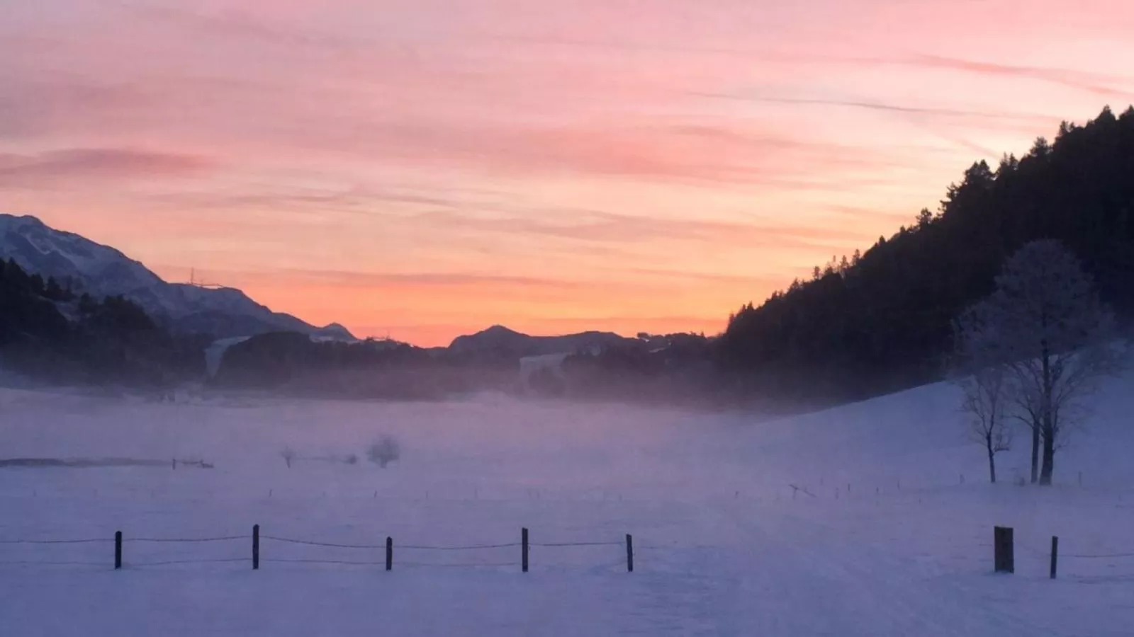 Joss - Gebied winter 1km