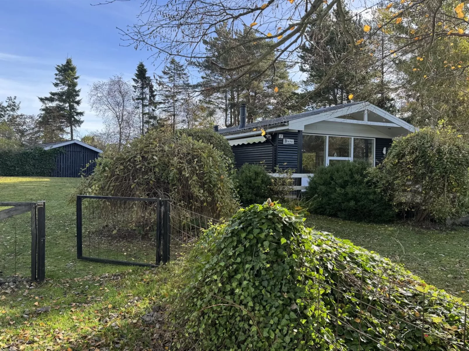 "Felicia" -  from the sea - Buiten