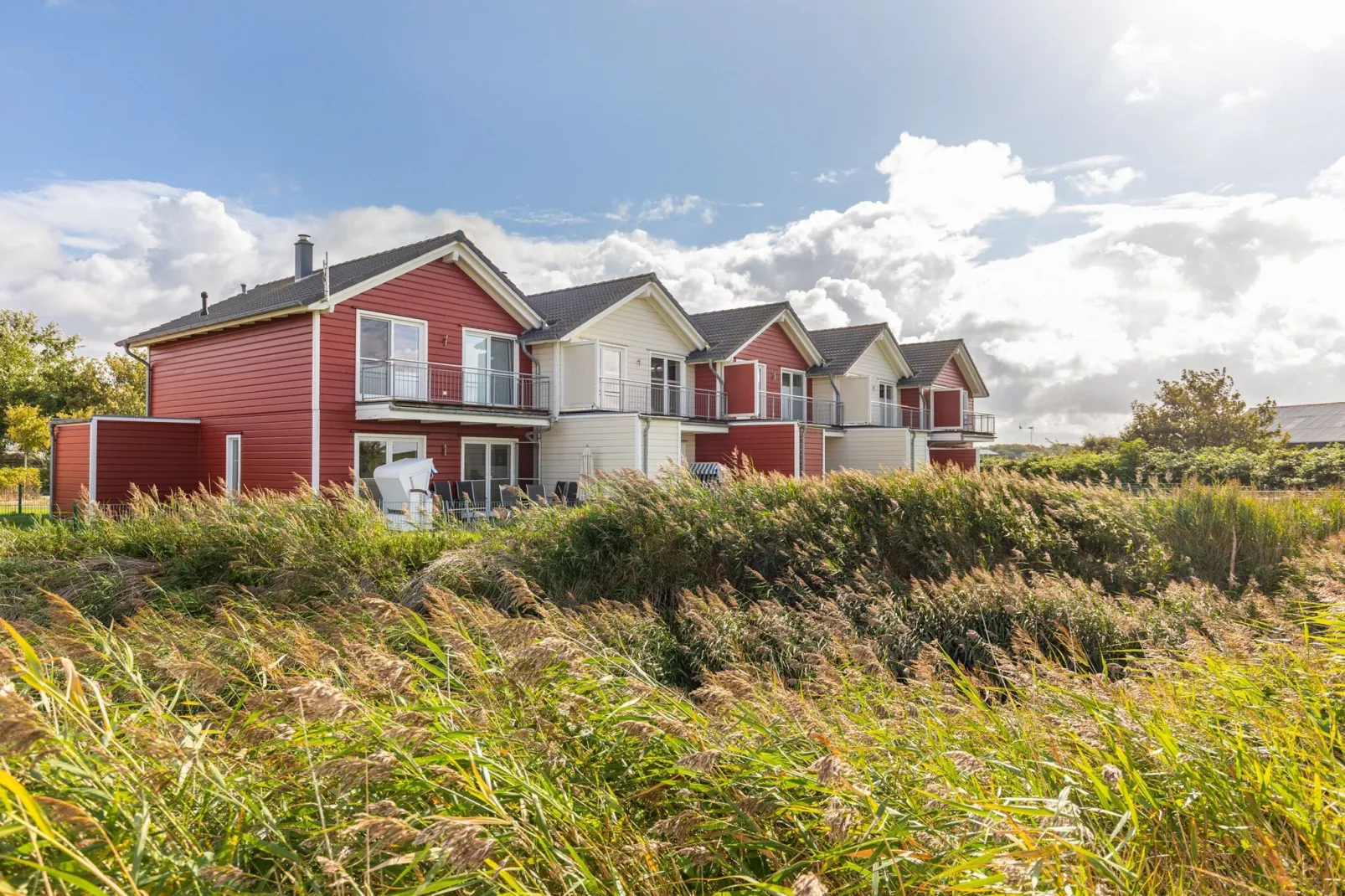 Reihenhaus in Dagebüll - Schimmelreiter-Buitenkant zomer