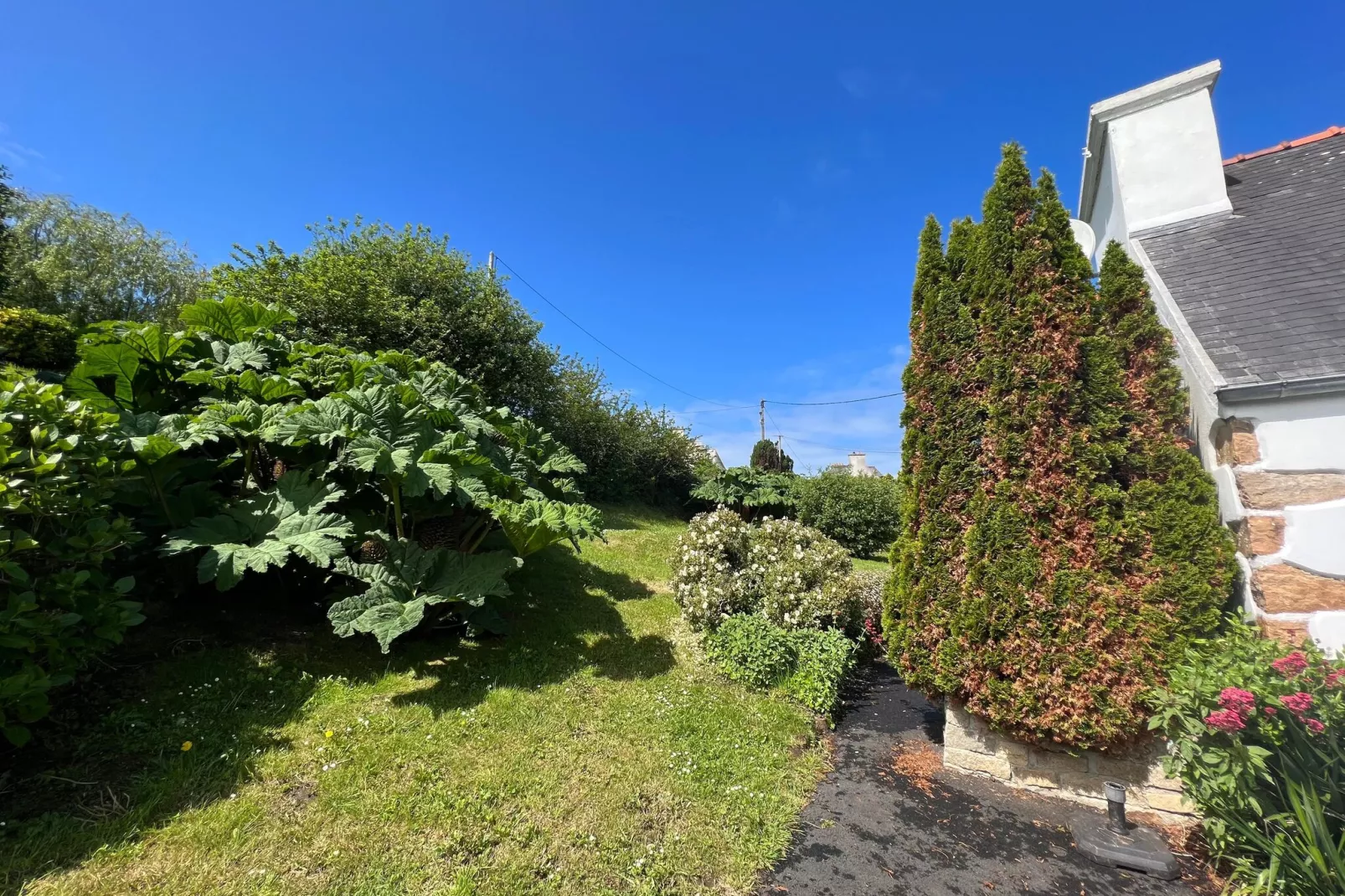 Ensemble de 2 maisons Plougasnou-Buitenkant zomer