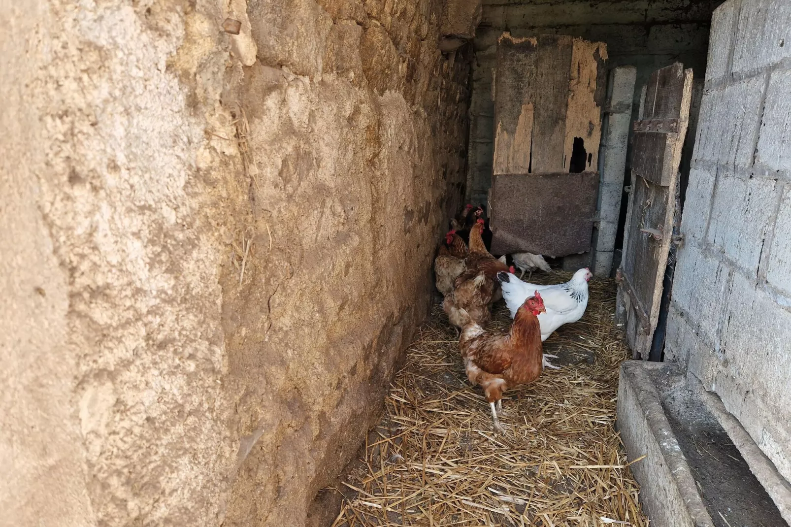 Maison de vacances en campagne Guerlesquin-Sfeer