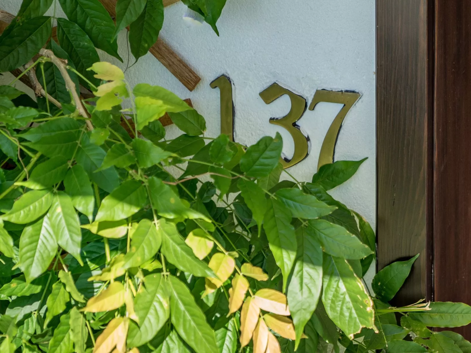 Erhöhte und ruhige Lage am Ortsrand von Bad Aussee - Image-tags.info