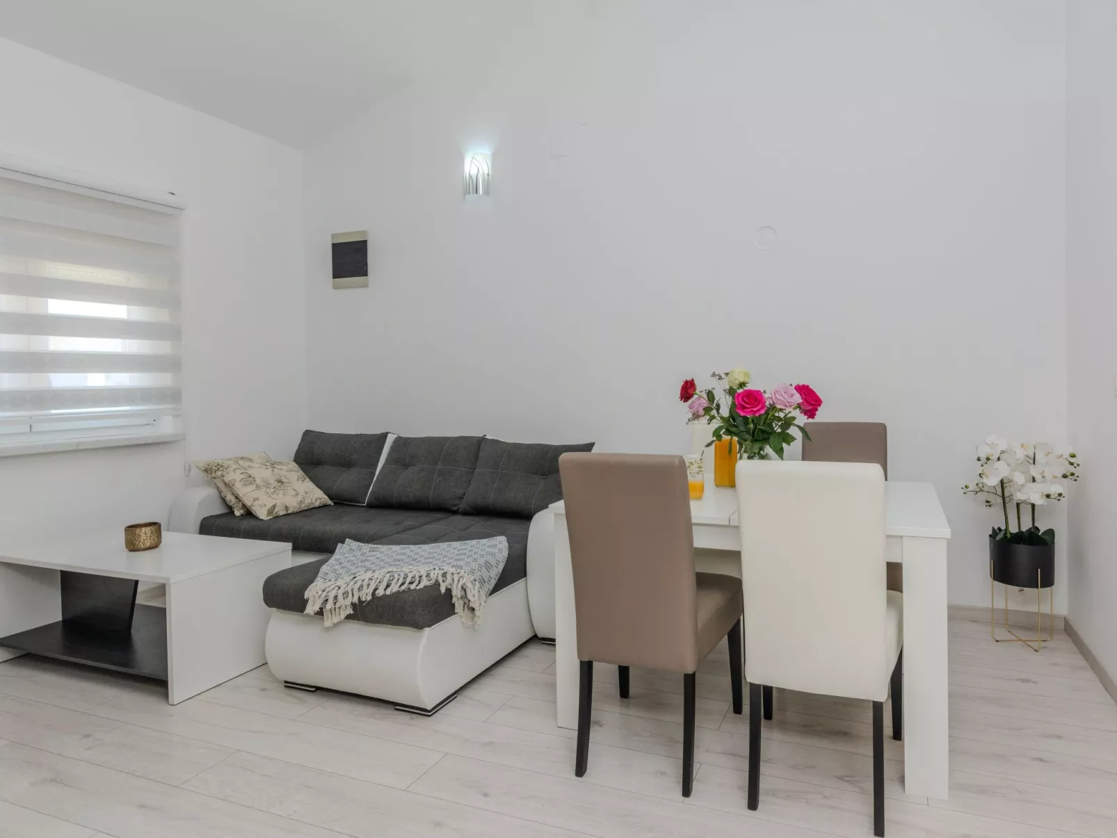 Apartment Lucica 4 - Image-tags.info