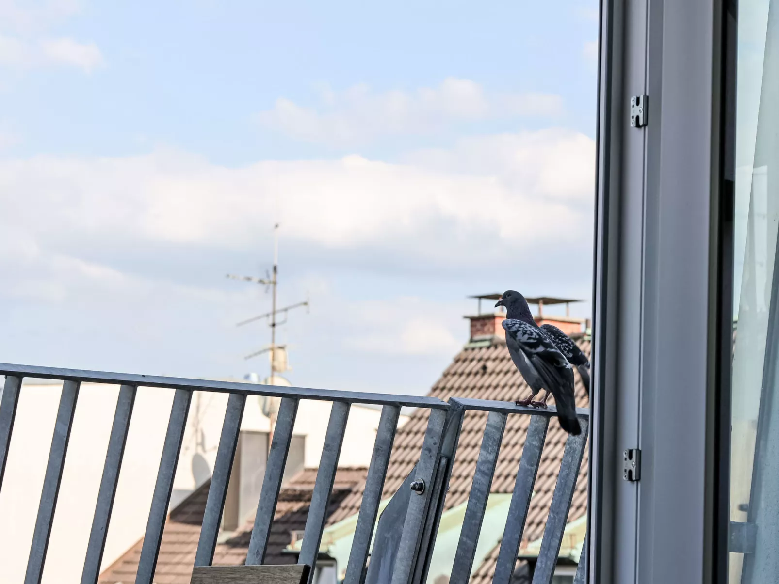 Munich Finest Apartments 17 - Buiten