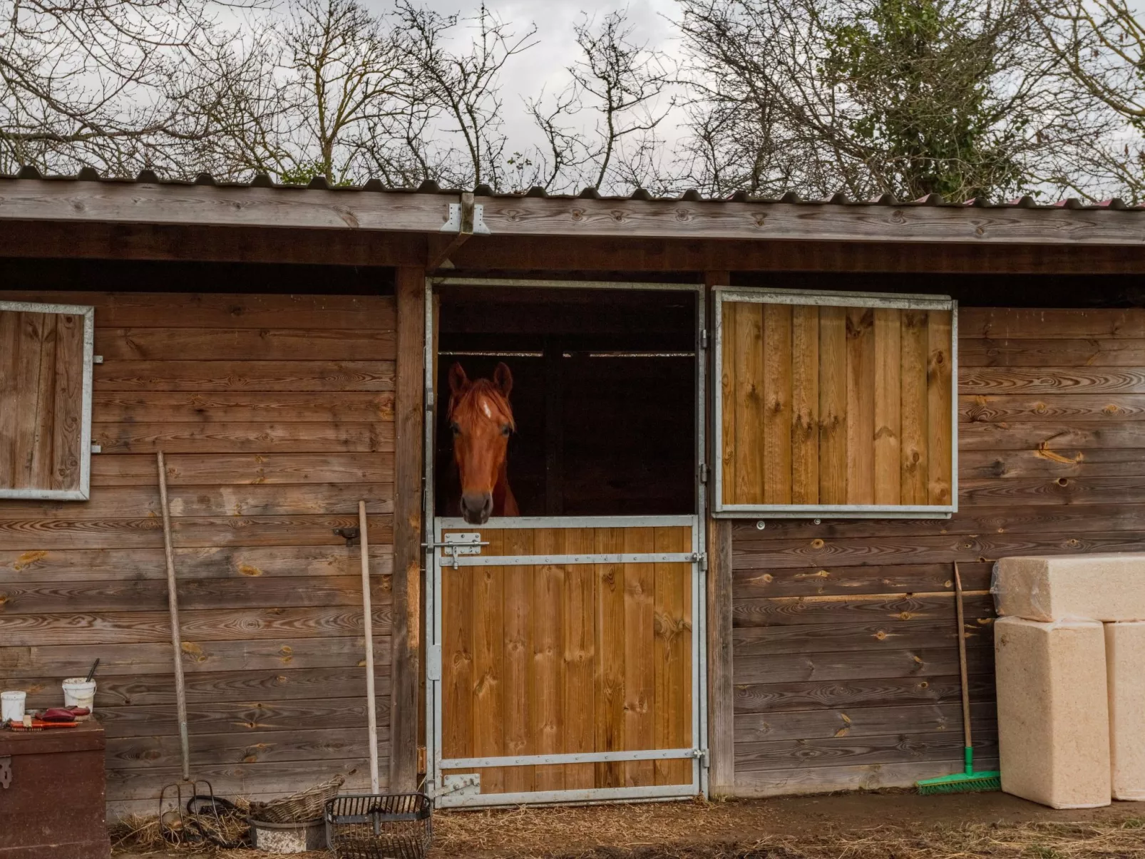 La maison du cavalier bleu - Buiten