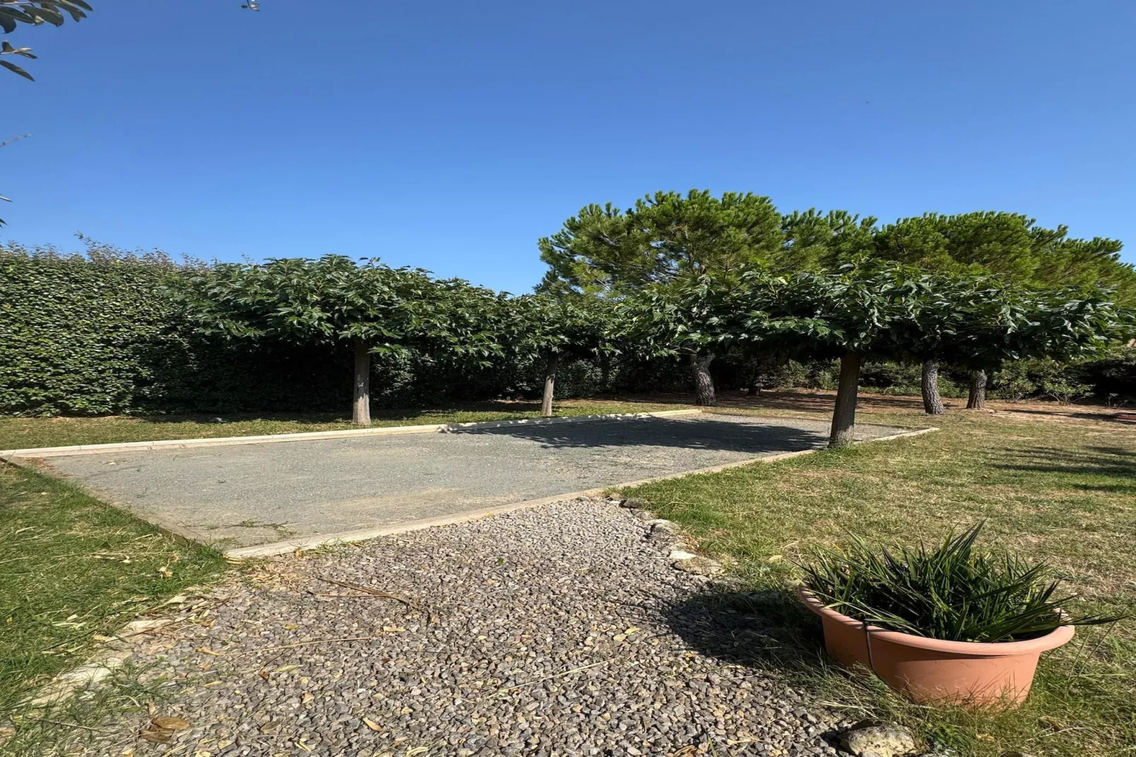 Villa l'Olivier - Tuinen zomer