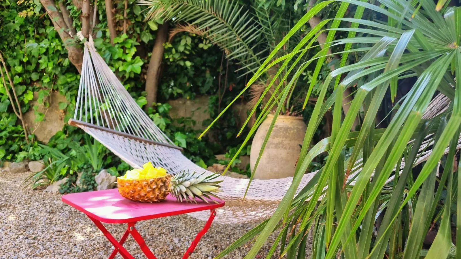 La maison des Vendangeurs 6-Tuinen zomer