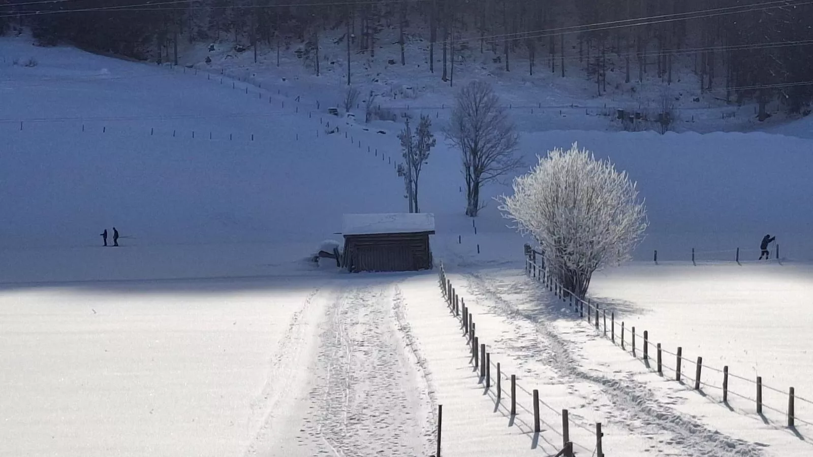 Joss - Gebied winter 1km