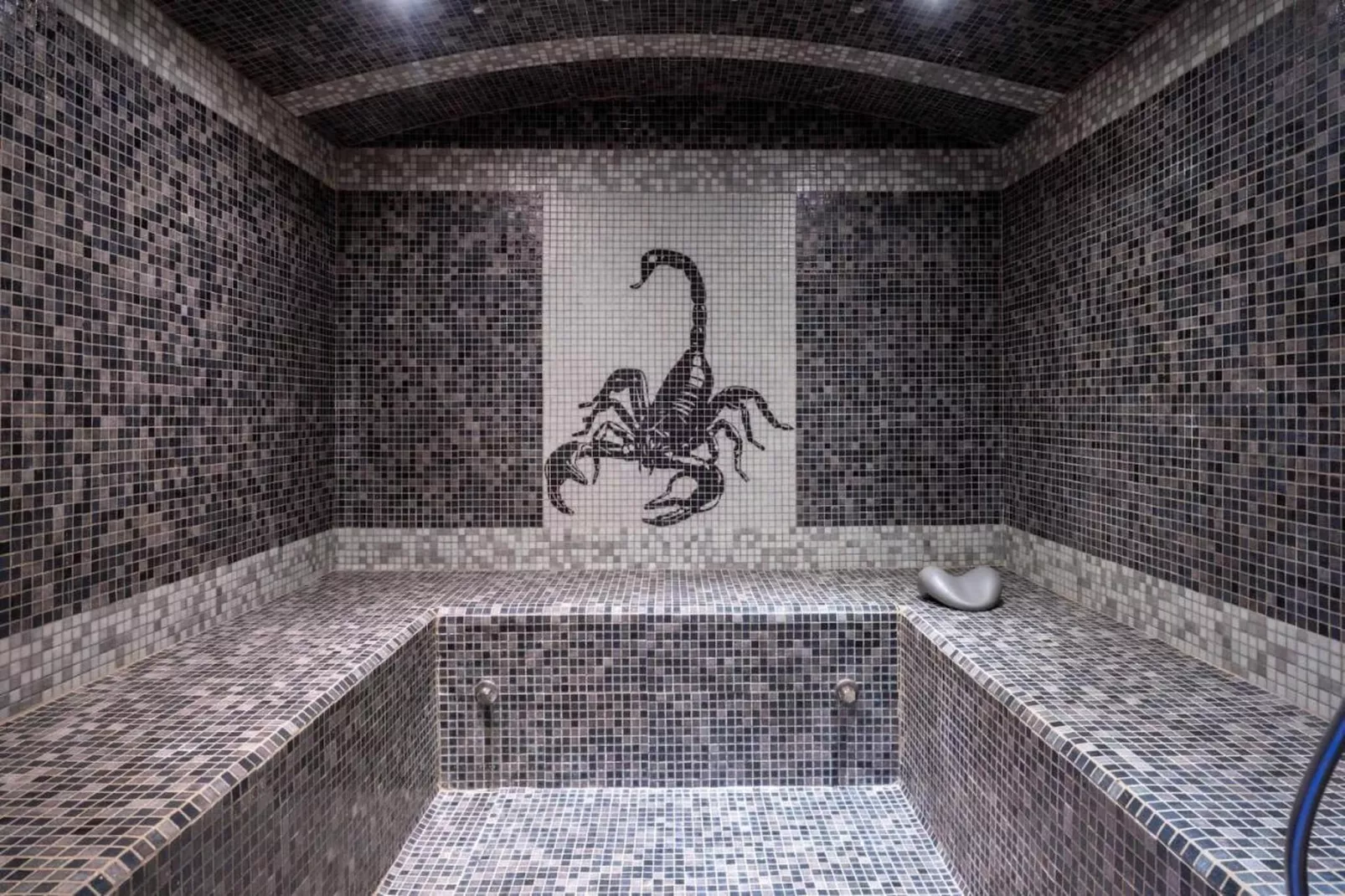 Villa avec piscine chauffée spa salle sport et cinéma-Faciliteiten