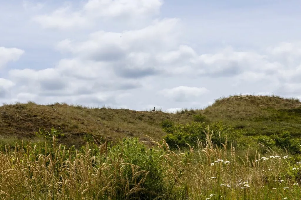 507637 - Niet-getagd