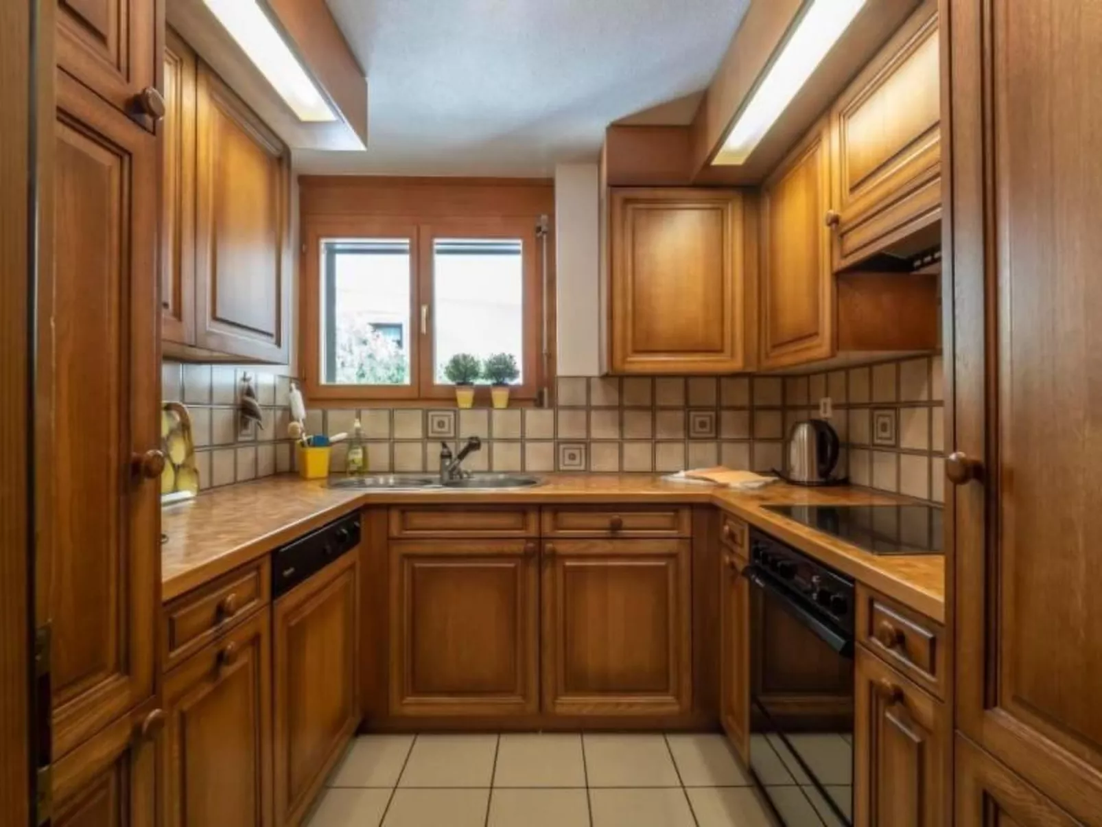 Selvas 12 - Image-tags.info