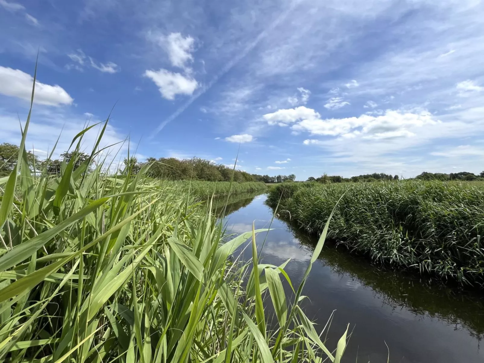 "Holmfridur" - 1.1km from the sea - Buiten