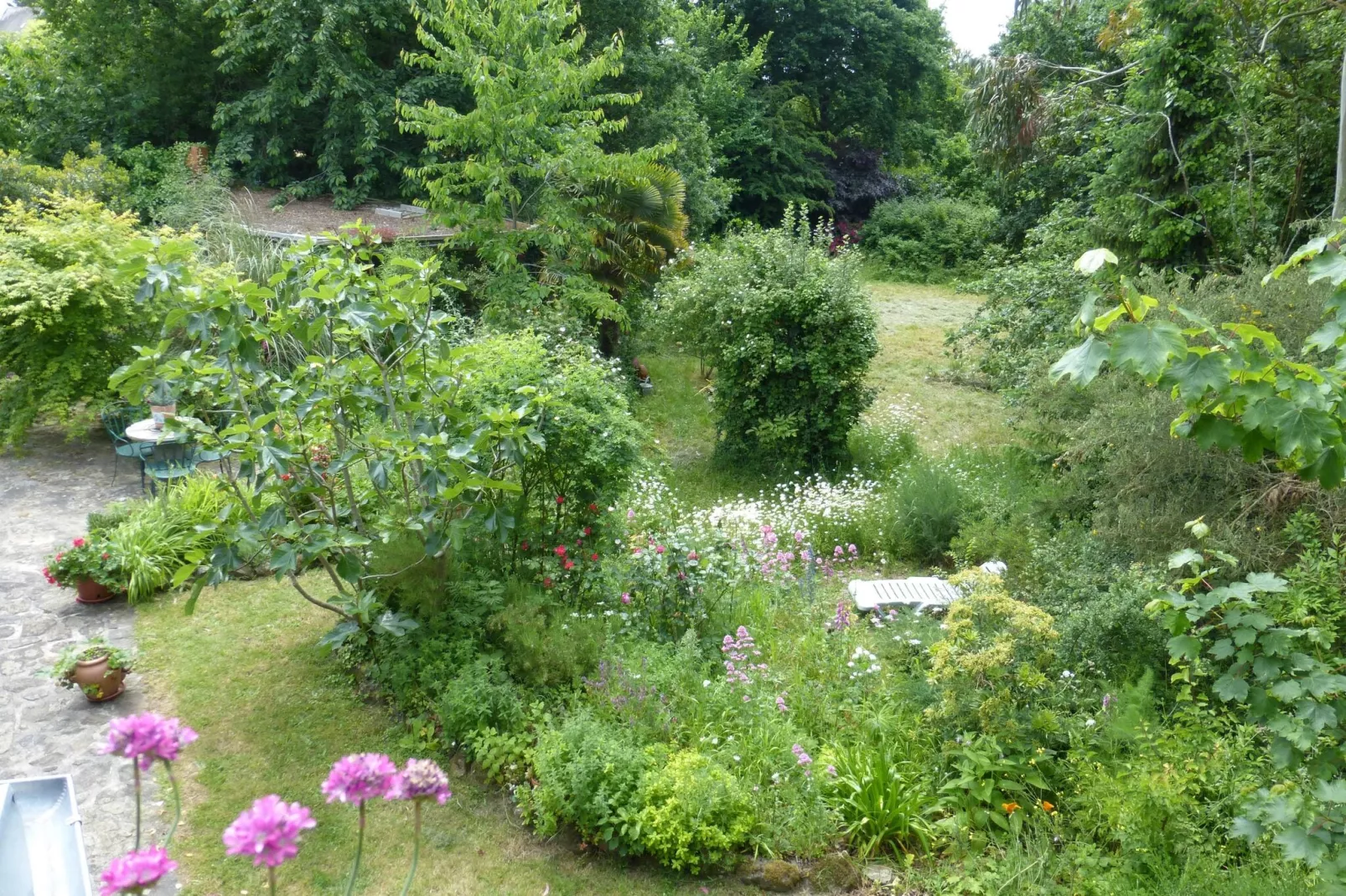 Dupleix dans un jardin bucolique à Saint Briac sur Mer-Tuinen zomer