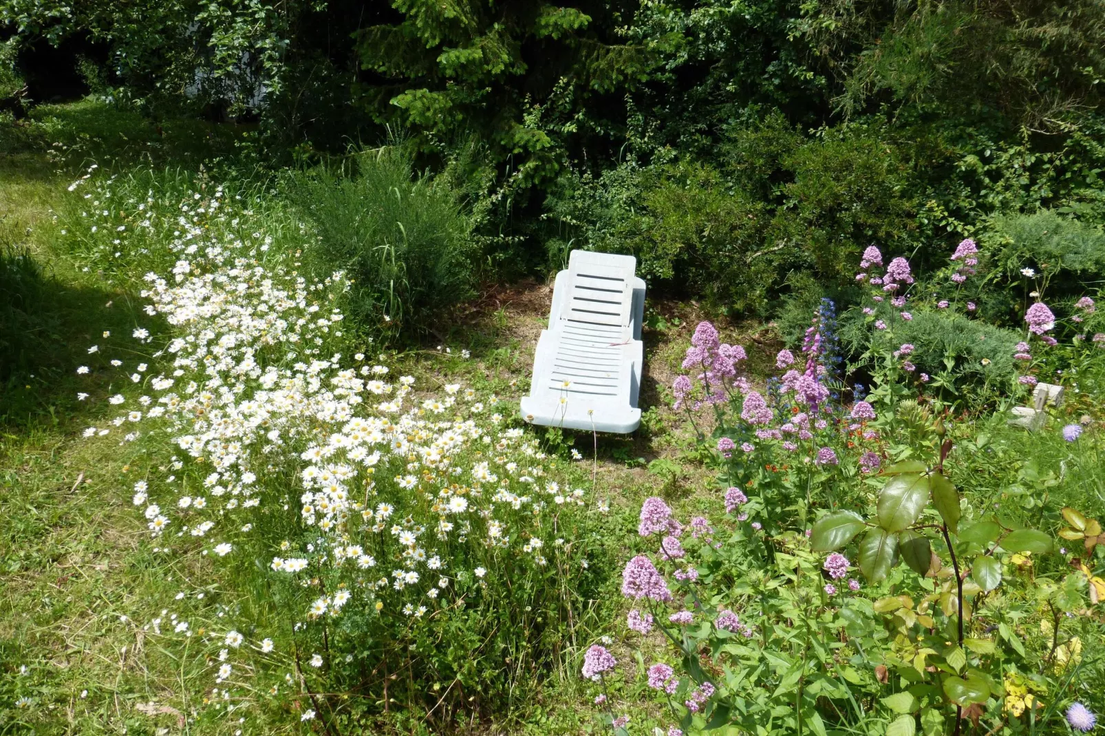 Dupleix dans un jardin bucolique à Saint Briac sur Mer-Tuinen zomer